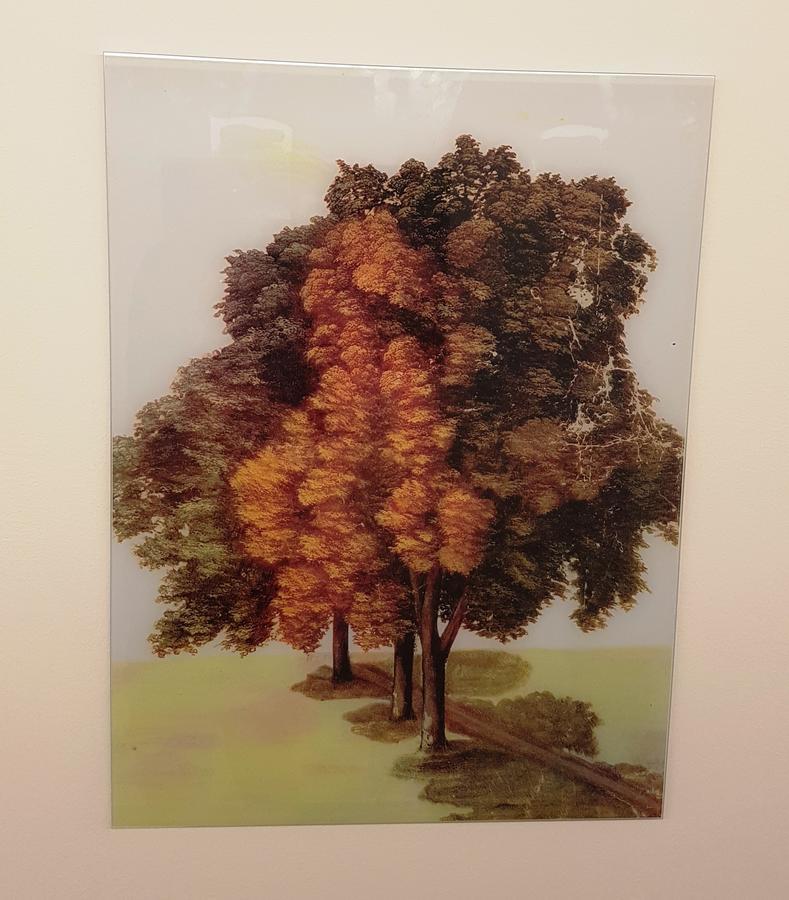 Hotel Garni Jaegerhof ジクマリンゲン エクステリア 写真
